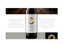 craft polished copywriting for your website as your content writer